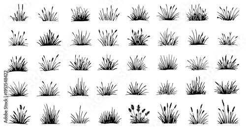 A collection of black silhouette grass and weed vector graphics
