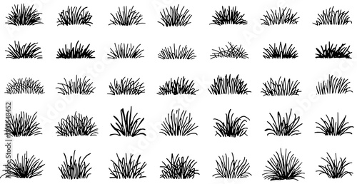 Tableau sur toile A set of various grass silhouettes in a vector graphic illustration