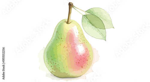 A watercolor-style illustration of a green pear with pink blush and two leaves on a white background.