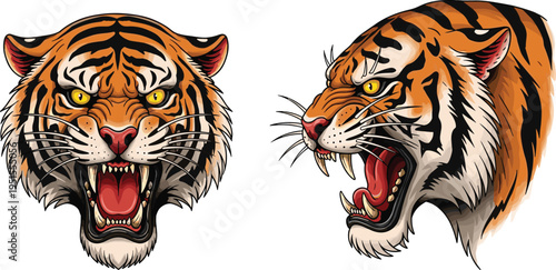 Angry tiger head illustration, roaring wild animal face, fierce predator mascot, detailed stripes design, vector wildlife emblem isolated artwork