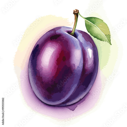 Watercolor illustration of a purple plum with green leaves on a white background with soft pastel colors.