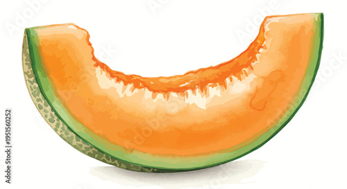 A close-up shot of a slice of fresh cantaloupe on a white background, showcasing its vibrant orange color and green rind.