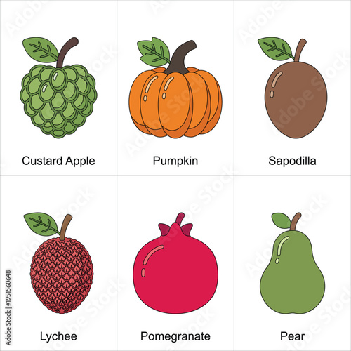Fruit Icons Set – Colorful Flat Vector Icons of Custard Apple, Pumpkin, Sapodilla, Lychee, Pomegranate and Pear