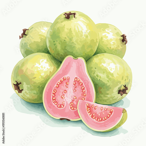 Illustration of a pile of green guavas with one cut open showing pink flesh on a white background.