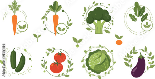 Fresh vegetables vector illustration set with carrot, broccoli, cucumber, tomato, cabbage and eggplant, organic healthy food icons collection design