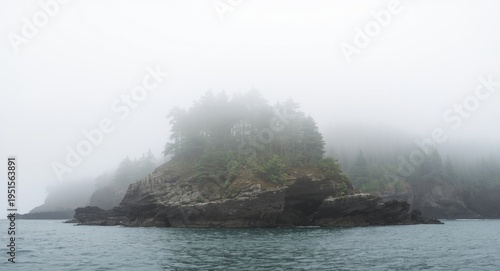 dense fog over cedar trees perched on seaside rocky escarpment