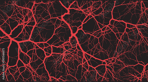 Tree branch vector, Tree branch vector, Abstract red neural network or vascular system pattern on black background