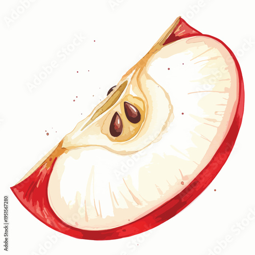 Watercolor illustration of a sliced apple with seeds on a white background, showcasing red skin and a light-brown core.