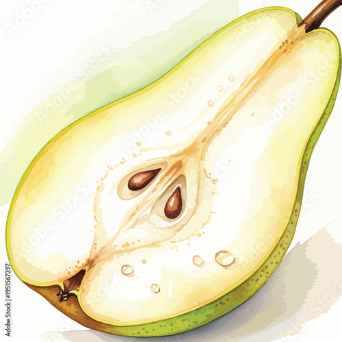 Watercolor illustration of a halved pear with seeds on a white background with green and brown tones.