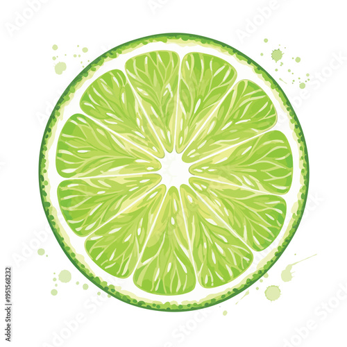 Illustration of a vibrant green lime slice with detailed texture and juice splatters on a clean white background.