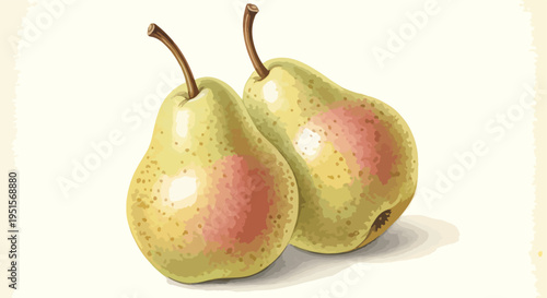 Realistic illustration of two green pears with pink blush on a plain white background, with soft shadows underneath.