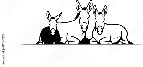 Three donkeys resting together in a line, one solid black, two outlined