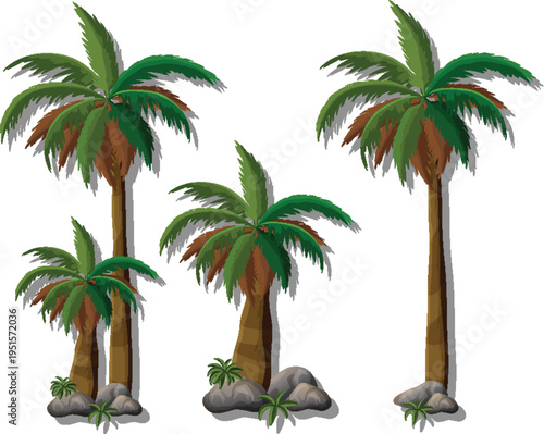 Decorative green palm tree for outdoor garden and park illustration vector