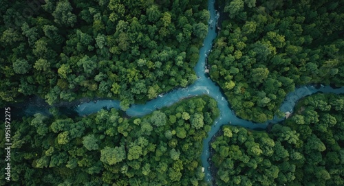 Machine learning artwork representing planetary health through green forest and blue river forming stomach shape aerially