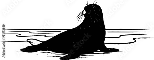 Black and white illustration of a seal resting on icy terrain