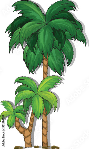 Tall tropical palm tree isolated for nature and summer design vector