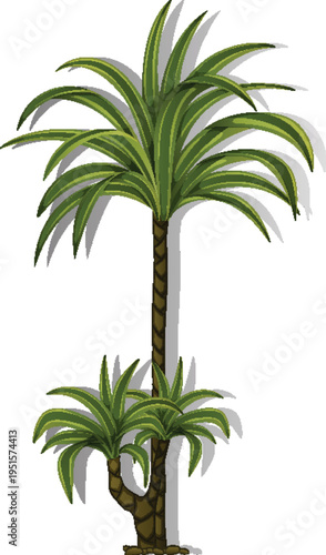 Tropical palm tree illustration with green leaves and long trunk vector