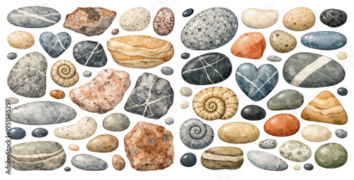 A beautiful collection of watercolor natural stones and pebbles, featuring assorted rocks with unique textures, patterns, and fossil details, isolated on a transparent background.