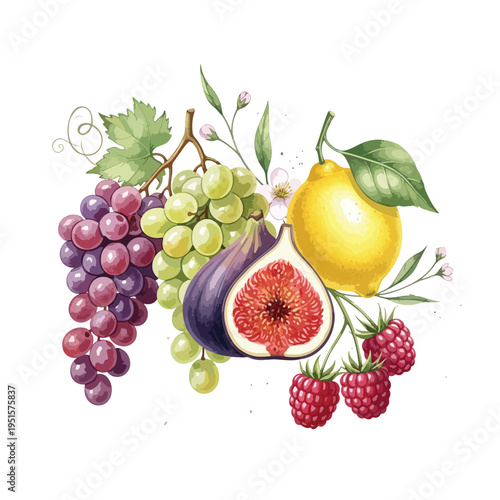 Watercolor illustration of a colorful fruit arrangement including grapes, fig, lemon, and raspberries on a white background.