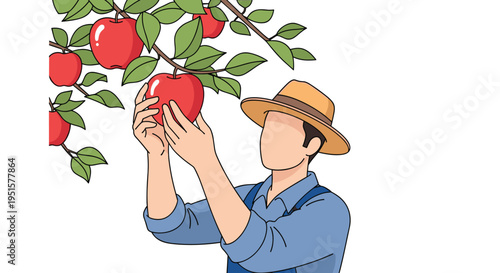 A farmer wearing a straw hat is picking a red apple from a tree branch.