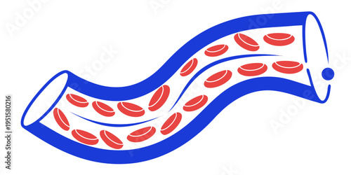  Vector illustration of red blood cells flowing through a blue vein. Erythrocytes inside a blood vessel, cardiovascular system, medical flat icon concept
