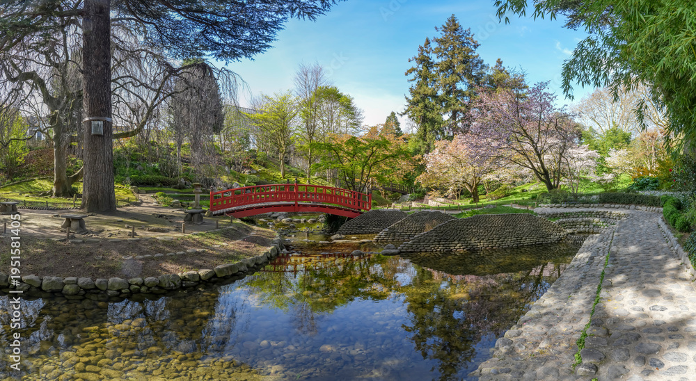 Obraz premium Boulogne-Billancourt, France - 03 17 2026: Albert Kahn's garden. Panoramic view of a Koi pond reflecting a red wooden footbridge and colorful trees and cherry trees in a Japanese garden in spring