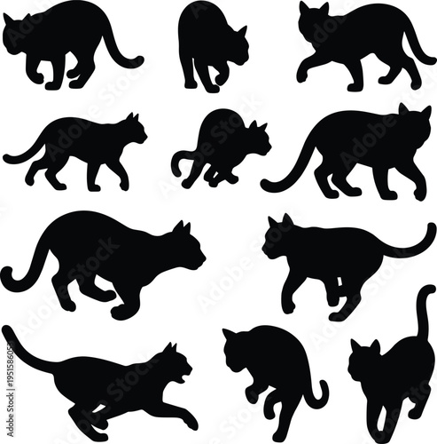 Cat silhouettes collection, various feline poses set, pet animal vector illustration, black cat shapes isolated, domestic kitty design