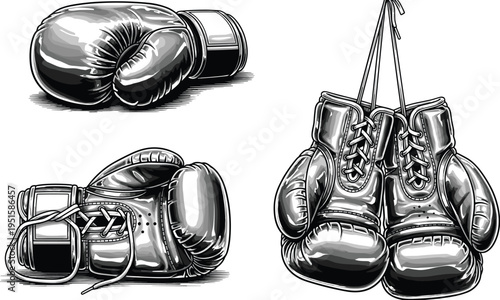 Detailed boxing glove vector illustration set featuring professional leather gloves hanging and lying down in a classic hand drawn sketch style.