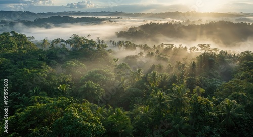Gentle mist covering a vibr...