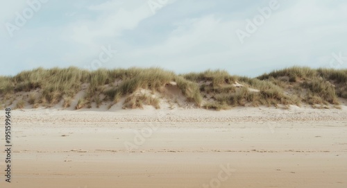 Natural beach setting with ...