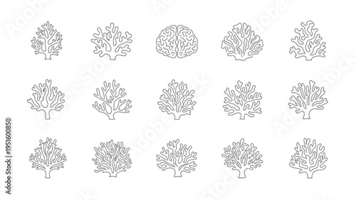 Coral shapes line icons set for marine biology and ocean conservation designs