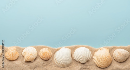 Beach shells arranged on sm...