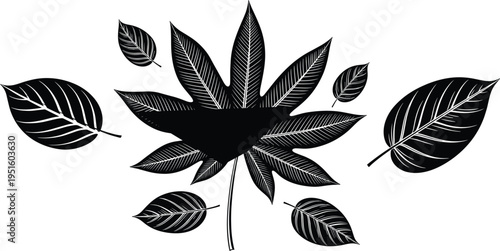 Accessible public shower icons set with male female and wheelchair symbols colorful bathroom hygiene signage vector illustration collection