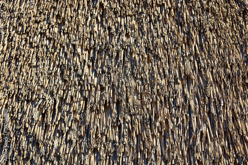 А Image of a thatched roof in the sun