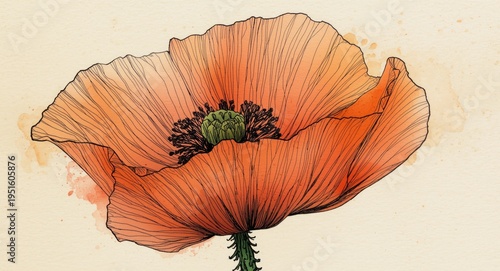 Poppy flower art combining ...