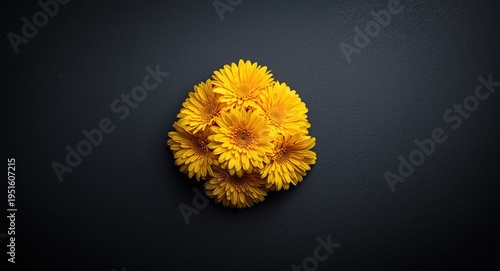 Luminous yellow chrysanthem...