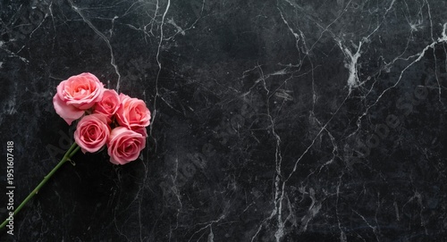 rose pink roses positioned ...