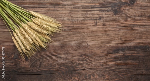 Natural harvesting concept ...
