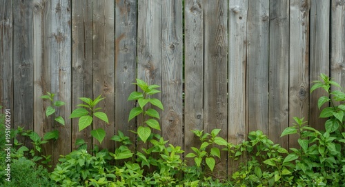 Rough wooden fence backgrou...