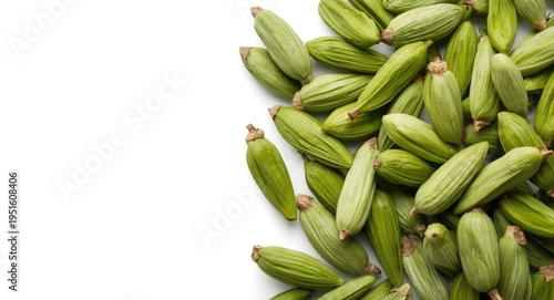 Macro close up of green cardamom pods isolated on white with copy space for food and culinary graphics