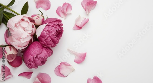 Flat lay top view of peony ...
