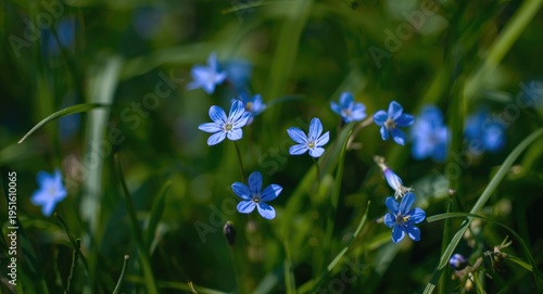 Detailed macro shot showing...