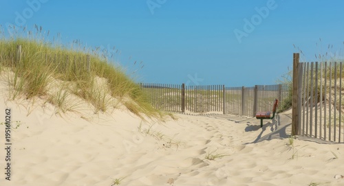 Sandy dunes near a wooden f...