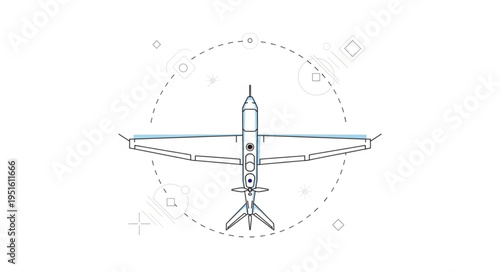 Intricate bird design with outstretched wings and detailed geometric patterns, artistic illustration.