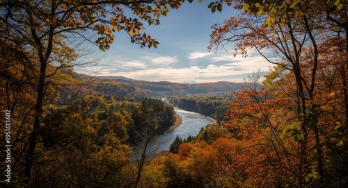 Fall forest canopy with riv...