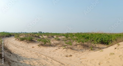 Reforesting landscapes to f...