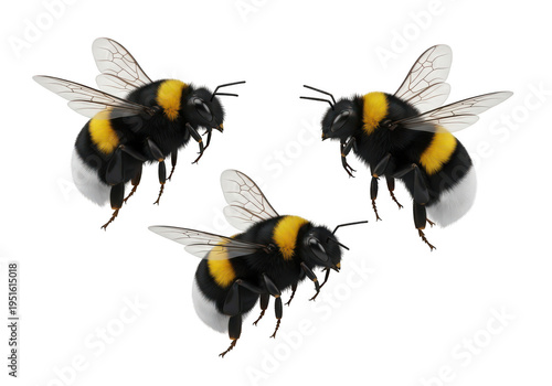 Four cartoon bees flying in a synchronized formation against a plain background