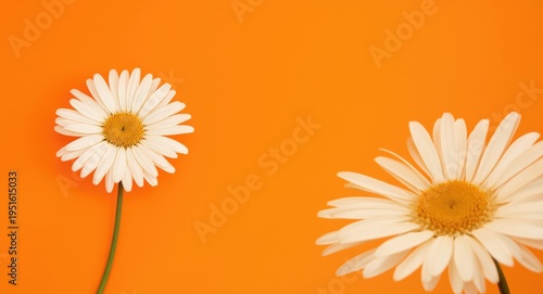 Orange background with a vi...