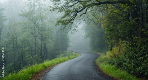 Misty weather winding road ...