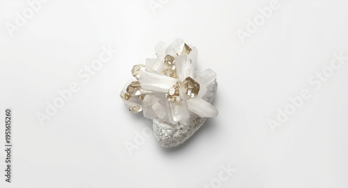 clean white background feat...
